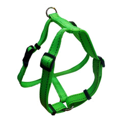 ARNES NEON 20x500mm. VERDE