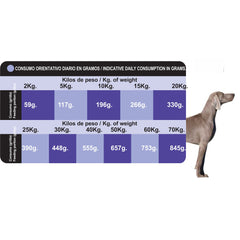 PROCT-DOG ADULT PLUS 20 KG.