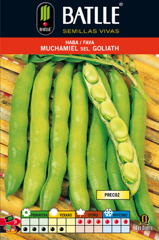 HABA MUCHAMIEL 1 KG. SELC.GOLIATH